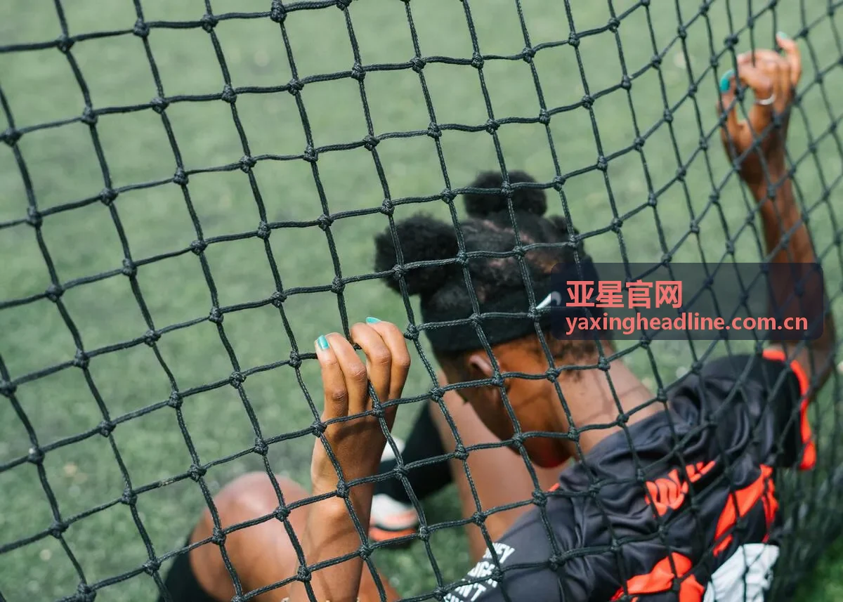 亚星官网专题研究分析框架图